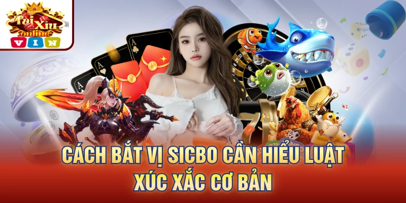 Cách Bắt Vị Sicbo cần hiểu luật xúc xắc cơ bản